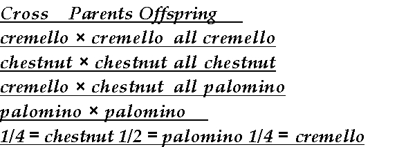 The following coat colors are determined by alleles at one locus in horses: palomino = golden coat with lighter mane and tail cremello = almost white chestnut = brown The following table gives ratios obtained in matings of the above varieties: Assign gene symbols for the genetic control of coat color on the basis of these data. Diagram the last two matings.
