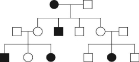 The accompanying figure is a pedigree of a fairly common human hereditary trait in which the boxes represent males and the circles represent females.Shading symbolizes the abnormal phenotype. Given that one gene pair is involved: a) Is the inheritance pattern X-linked or autosomal,recessive or dominant? b) Give the genotype of each individual in the pedigree.If more than one genotypic possibility exists,present all possible alternatives.