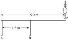 An 82-kg diver stands at the edge of a light 5.0-m diving board, which is supported by two vertical pillars that are 1.6 m apart, as shown in the figure. Find the magnitude and direction of the force exerted by each pillar.