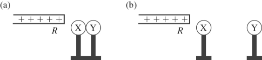 <strong>  X and Y are two initially uncharged metal spheres on insulating stands, and they are in contact with each other. A positively charged rod R is brought close to X as shown in part (a) of the figure. Sphere Y is now moved away from X, as shown in part (b). What are the final charge states of X and Y?</strong> A) Both X and Y are neutral. B) X is positive and Y is neutral. C) X is neutral and Y is positive. D) X is negative and Y is positive. E) Both X and Y are negative. <div style=padding-top: 35px> 