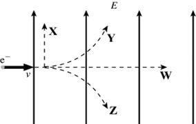 An electron is initially moving to the right when it enters a uniform electric field directed upwards, as shown in the figure. Which trajectory (X, Y, Z, or W) will the electron follow in the field?