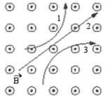 <strong>Three particles travel through a region of space where the magnetic field is out of the page, as shown in the figure. What are the signs of the charges of these three particles? </strong> A) 1 is neutral, 2 is negative, and 3 is positive. B) 1 is neutral, 2 is positive, and 3 is negative. C) 1 is positive, 2 is neutral, and 3 is negative. D) 1 is positive, 2 is negative, and 3 is neutral. E) 1 is negative, 2 is neutral, and 3 is positive.