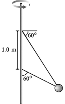 <strong>The figure shows two wires tied to a 3.3 kg sphere that revolves in a horizontal circle at constant speed. At this particular speed the tension is the SAME in both wires. What is the tension? </strong> A) 24 N B) 32 N C) 44 N D) 22 N