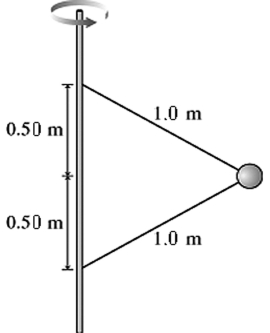 <strong>The figure shows two wires that are tied to a 710 g mass that revolves in a horizontal circle at a constant speed of 7.5 m/s. What is the tension in the upper wire? </strong> A) 34 N B) 20 N C) 27 N D) 41 N