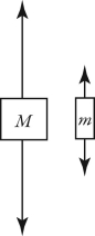 <strong>Two unequal masses M and m (M > m) are connected by a light cord passing over a pulley of negligible mass, as shown in the figure. When released, the system accelerates. Friction is negligible. Which figure below gives the correct free-body force diagrams for the two masses in the moving system? </strong> A) B) C) D)