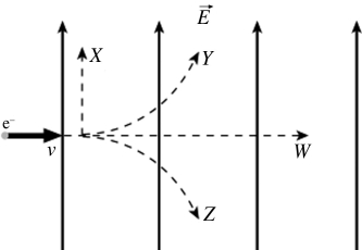 <strong>An electron is initially moving to the right when it enters a uniform electric field directed upwards. Which trajectory shown below will the electron follow? </strong> A) trajectory W B) trajectory X C) trajectory Y D) trajectory Z