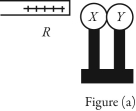 <strong>X and Y are two uncharged metal spheres on insulating stands, and are in contact with each other. A positively charged rod R is brought close to X as shown in Figure (a). Sphere Y is now moved away from X, as in Figure (b). What are the final charge states of X and Y?</strong> A) Both X and Y are neutral. B) X is positive and Y is neutral. C) X is neutral and Y is positive. D) X is negative and Y is positive. E) Both X and Y are negative.