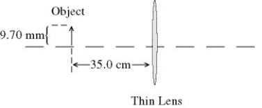 <strong>In the figure,the image is viewed on a screen and is 13.5 mm tall.What is the focal length of the lens? </strong> A)+14.6 cm B)-14.6 cm C)+20.4 cm D)-89.3 cm E)+124 cm