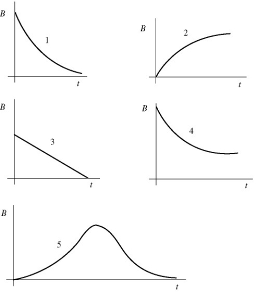A light bulb is connected in the circuit shown in the figure with the switch S open and the capacitor uncharged.The battery has no appreciable internal resistance.Which one of the following graphs best describes the brightness B of the bulb as a function of time t after closing the switch?