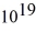<strong>The current supplied by a battery as a function of time is   What is the total number of electrons transported from the positive electrode to the negative electrode from the time the battery is first used until it is essentially dead? (e = 1.60 × 10<sup>-19</sup> C)</strong> A)1.2 ×   B)4.4 ×   C)5.3 ×   D)3.3 ×   <div style=padding-top: 35px> 