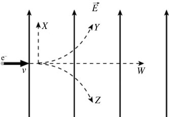 <strong>An electron is initially moving to the right when it enters a uniform electric field directed upwards.Which trajectory shown below will the electron follow? </strong> A)trajectory W B)trajectory X C)trajectory Y D)trajectory Z