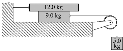 <strong>A system comprised blocks,a light frictionless pulley,and connecting ropes is shown in the figure.The 9.0-kg block is on a perfectly smooth horizontal table.The surfaces of the 12-kg block are rough,with between the block and the table.If the 5.0-kg block accelerates downward when it is released,find its acceleration. </strong> A)1.0 m/s<sup>2</sup> B)1.2 m/s<sup>2</sup> C)1.4 m/s<sup>2</sup> D)1.6 m/s<sup>2</sup> E)1.8 m/s<sup>2</sup>