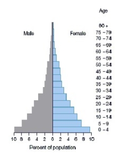 -The above population pyramid would most likely represent a(n)________ country.