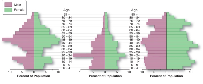 -Each of the three population pyramids (above)are census tracts from St.Louis county in northern Minnesota,that stretches from Duluth to Canada.The population pyramid on the left most likely represents