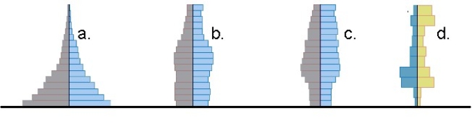  -Elderly population