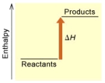 When 1 mole of Fe<sub>2</sub>O<sub>3</sub>(s)reacts with H<sub>2</sub>(g)to form Fe(s)and H<sub>2</sub>O(g)according to the following equation,98.8 kJ of energy are absorbed. Fe<sub>2</sub>O<sub>3</sub>(s)+ 3 H<sub>2</sub>(g) \to 2 Fe(s)+ 3 H<sub>2</sub>O(g) (A) (B) Is the reaction endothermic or exothermic,and which of the enthalpy diagrams above Represents this reaction?