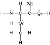 <strong>What is the molecular geometry around oxygen atom O<sub>2</sub>?  </strong> A) linear B) trigonal pyramidal C) trigonal planar D) T-shaped E) tetrahedral <div style=padding-top: 35px> 