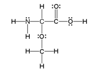 How many sigma and pi bonds are in the molecule pictured below?