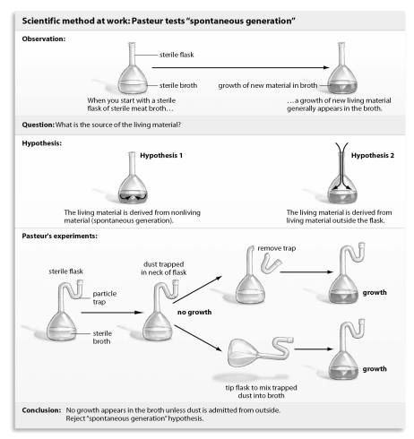 Refer to the figure below, and then answer the question that follows. What was the purpose in breaking off the dust trap or tilting the flask in Pasteur's experiment?