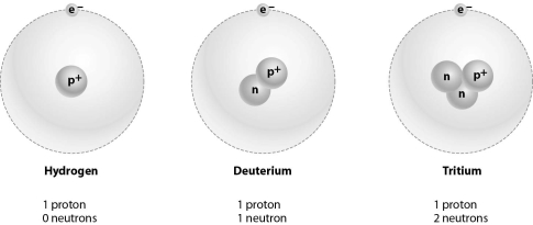 <strong>Refer to the figure below, and then answer the question that follows.   Hydrogen,deuterium,and tritium are considered the same element because:</strong> A)their mass is about the same. B)they can form ions easily. C)they have the same number of protons. <div style=padding-top: 35px> 