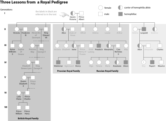 Refer to the figure below, and then answer the question that follows. The last members of the Russian Royal Family were executed during the Russian Revolution.Assume the revolution never took place and Alexis,son of Czar Nicholas II and Alexandra,survived and married into the British Royal Family.What is the probability that his children would have hemophilia? What is the probability his children would be carriers for hemophilia?