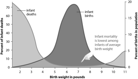 <strong>Refer to the figure below, and then answer the question that follows. Human birth weights are an example of:</strong> A)disruptive selection. B)stabilizing selection. C)directional selection. D)sexual selection.