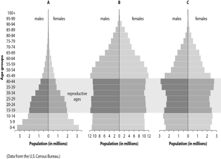 Refer to the figure below, and then answer the question that follows. -Which graph,A,B,or C,represents a population likely to exhibit the greatest population rate increase over the next few decades?