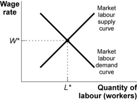 Use the following to answer questions : Figure: Equilibrium in the Labour Market -(Figure: Equilibrium in the Labour Market)Use Figure: Equilibrium in the Labour Market.In the figure,a decrease in population that decreases the number of workers,when everything else stays the same,will lead to a(n)_____ in the equilibrium quantity of labour and a(n)_____ in the equilibrium price of labour.