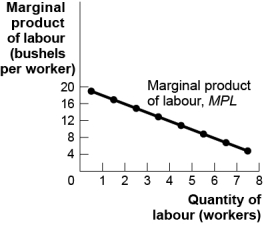 <strong>Use the following to answer questions : Figure: The Marginal Product of Labour (Figure: Marginal Product of Labour)Use Figure: The Marginal Product of Labour.The total product for three workers is _____ kilograms.</strong> A) 51 B) 45 C) 39 D) 15