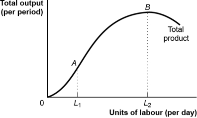 <strong>Use the following to answer questions : Figure: The Total Product (Figure: The Total Product)Use Figure: The Total Product.When L<sub>2</sub> labour is hired,the total product is at a _____ and the marginal product of labour is _____.</strong> A) minimum;zero B) maximum;zero C) maximum;positive D) minimum;positive but falling