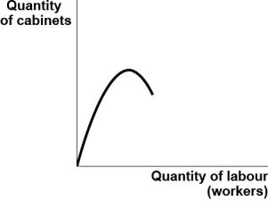 <strong>Use the following to answer question 44: Figure: The Unknown Curve (Figure: The Unknown Curve)Use Figure: The Unknown Curve.You are a cabinetmaker.You employ several workers to produce kitchen and bathroom cabinets.Your summer intern has drawn a graph showing a relationship between the number of cabinetmakers you employ and the number of cabinets produced.Unfortunately,your intern has failed to identify this curve.It is likely to be the _____ curve.</strong> A) total cost B) total product C) marginal product D) total variable cost