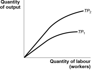 <strong>Use the following to answer questions : Figure: Change in the Total Product (Figure: Change in the Total Product)Use Figure: Change in the Total Product.As indicated by the change in a production function from TP<sub>1</sub> to TP<sub>2</sub>,the marginal product of labour curve has:</strong> A) shifted upward. B) shifted downward. C) not moved. D) become inverted.