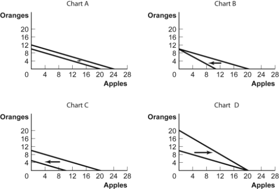<strong>Use the following to answer questions : Figure: Budget Lines for Oranges and Apples   (Figure: Budget Lines for Oranges and Apples)Use Figure: Budget Lines for Oranges and Apples.For some time,Antonio has had $5 per month to spend on oranges and apples.The price of an orange is $0.50 and the price of an apple is $0.25.Which chart shows what will happen to his budget line if his income increases to $6?</strong> A) A B) B C) C D) D <div style=padding-top: 35px> 