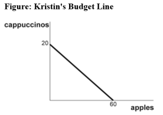 Use the following to answer questions : -(Figure: Kristin's Budget Line)Use Figure Kristin's Budget Line.The price of a cup of cappuccino is $3,and the price of an apple is $1.Suppose Kristin initially consumes 10 cups of cappuccino and 30 apples.Then the price of apples increases to $3 each and the price of a cappuccino remains unchanged.As a result of this price change,Kristin's optimal consumption bundle changes,reflected by a decrease in the consumption of both apples and cappuccinos.This suggests that: