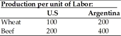 Use the information in the table below to answer the following questions. (a) Does either country have an absolute advantage in the production of wheat or beef? Explain. (b) What is the opportunity cost of wheat in each country? (c) What is the opportunity cost of beef in each country? (d) Analyze comparative advantage and opportunities for trade between the U.S. and Argentina.