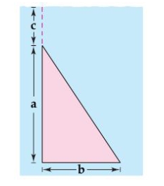 Find the fluid force of a triangular vertical plate submerged in water, where the dimensions are given in meters   and the weight-density of water is 9800 newtons per cubic meter.  