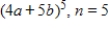 <strong>Find the specified nth term in the expansion of the binomial. </strong> A) B) C) D) E)