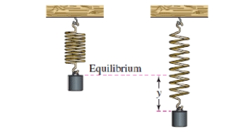 <strong>A weight is oscillating on the end of a spring (see figure).The position of the weight relative to the point of equilibrium is given by ,where y is the displacement (in meters)and t is the time (in seconds).Find the times when the weight is at the point of equilibrium (y = 0)for . </strong> A)0.05sec,0.49sec,0.94sec B)0.05sec,0.05sec,0.94sec C)-0.40sec,0.49sec,0.94sec D)-0.40sec,0.49sec,-0.40sec E)0.05sec,-0.40sec,0.94sec