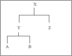 Consider the following class hierarchy and answer these questions. A is a derived class of X.