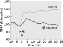 How does Figure Q11-2 contribute to the evidence that the Aβ oligomer interferes with loss of memory in Alzheimer's disease? Figure Q11-2 (a) The experiment showed that the Aβ oligomer induced long-term depression, suggesting it could reduce learning and memory. (b) The experiment showed that the Aβ oligomer blocked synaptic transmission, suggesting it could block memory formation. (c) The experiment showed that the Aβ oligomer blocked memory formation while keeping learning intact. (d) The experiment showed that the Aβ oligomer blocked long-term potentiation suggesting that it could block learning and memory.