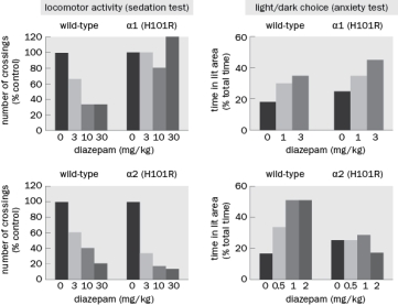 Benzodiazepines help reduce anxiety but they also cause sedation. A more effective drug would reduce anxiety without causing sedation. The experiment shown in Figure Q11-28 was performed in which the histidine was replaced by an arginine on either the α1 or α2 subunit of GABA<sub>A</sub> receptors. This substitution causes the subunit to become insensitive to benzodiazepines while retaining its sensitivity to GABA. Figure Q11-28 A. What happened to the α1(H101R) mice when they were given diazepam and what conclusion can be drawn about the α1 subunit? B. What happened to the α2(H101R) mice when they were given diazepam and what conclusion can be drawn about the α2 subunit? C. What does this tell you about designing a drug for anxiety?