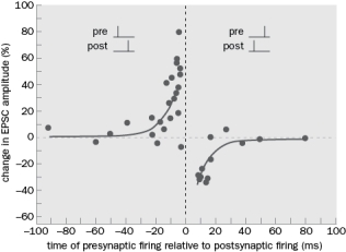 Figure Q10-21 demonstrates spike-timing dependent activity. Figure Q10-21 A. What is the approximate change in EPSC amplitude when the presynaptic input occurs 60 ms prior to the postsynaptic action potential? B. What is the approximate change in EPSC amplitude when the presynaptic input occurs 10 ms before the postsynaptic action potential?