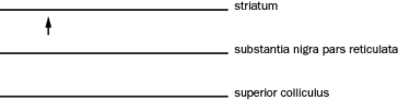 The basal ganglia are needed to initiate very fast eye movements called saccades. Based on the basal ganglia circuitry, what would the action potential activity be to allow a saccade? The superior colliculus is the premotor area that drives eye movement. Draw the basic action potential response next to the name of the nucleus listed below. The arrow demarks the start of the saccade.