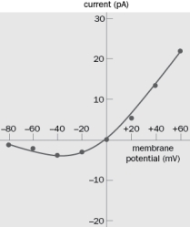 Figure Q3-34 shows an I-V plot for the NMDA receptor in the presence of external Mg<sup>2+</sup>. What would the curve look like if Mg<sup>2+</sup> were removed from the extracellular media and why? Figure Q3-34