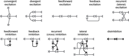 Figure Q1-14 shows commonly used circuit motifs. Identify the type of circuit motif featured in each of the following examples. Figure Q1-14 A. In the vertebrate retina, afferent neurons excite inhibitory interneurons that project onto the targets of their neighbors. B. Sensory neurons relay somatosensory stimuli to the primary somatosensory cortex via nuclei in the brainstem and thalamus. C. A class of cerebral cortical neurons inhibits other classes of inhibitory neurons in the brain, indirectly increasing the activity of final targets. D. In the insect olfactory system, excitatory projection neuron axons project to two different brain structures, the mushroom body and the lateral horn. E. In the vertebrate knee-jerk reflex, two parallel excitatory pathways inhibit each other via inhibitory neuron intermediates.