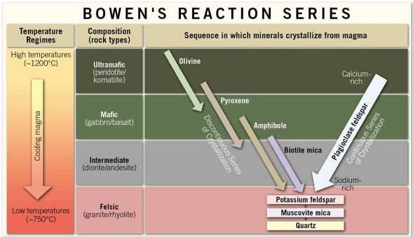 <strong>  In general, which of the statements below best describe what happens in terms of composition as crystallization proceeds down the Bowen's reaction series (shown in the figure)?</strong> A)The early-formed silicates are enriched in iron and magnesium, resulting in such rocks as andesite and granite. As crystallization proceeds, the later-formed silicates are enriched in sodium, potassium, and silicon, resulting in peridotite and basalt. B)The early-formed carbonates are enriched in calcium and carbonate, resulting in such rocks as limestone. As crystallization proceeds, the later-formed carbonates are enriched in fossils, resulting in fossiliferous limestone and coquina. C)The early-formed silicates are enriched in iron and magnesium, resulting in such rocks as peridotite and basalt. As crystallization proceeds, the later-formed silicates are enriched in sodium, potassium, and silicon, resulting in andesite and granite. D)The early-formed silicates are enriched in sodium, potassium, and silicon, resulting in such rocks as peridotite and basalt. As crystallization proceeds, the later-formed silicates are enriched in iron and magnesium, resulting in andesite and granite. <div style=padding-top: 35px> 