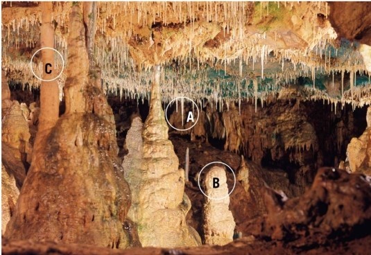 The feature marked B on this photo of a cavern interior is a stalactite.