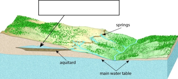A(n)________ forms atop an aquitard as shown in this image.