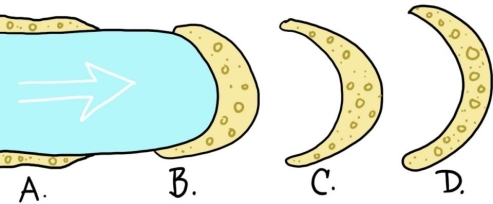 <strong>  Which of the four lettered positions on this map-view sketch shows the location of the terminal end moraine?</strong> A)A B)B C)C D)D <div style=padding-top: 35px> 
