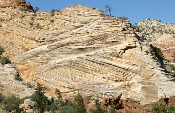  Examine the photo. Is it true or false to say, the dunes that deposited these cross beds were moving from the left to the right?<div style=padding-top: 35px> 